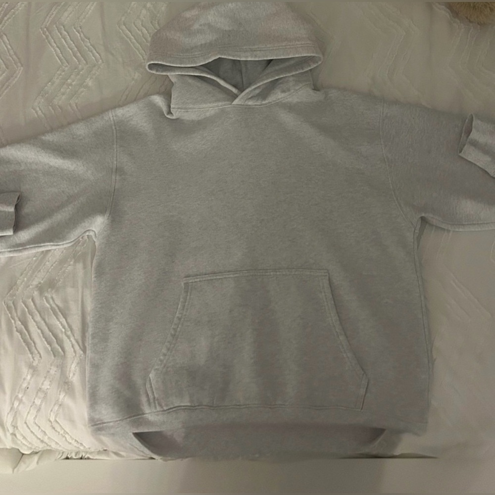 Aritzia hoodie